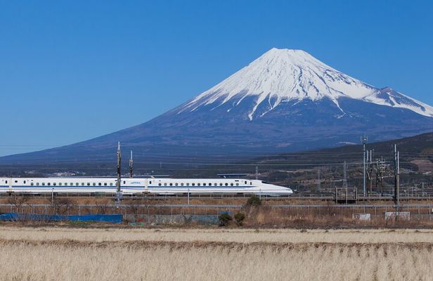 Mt. Fuji and Hakone Day Trip From Tokyo with Bullet Train Option