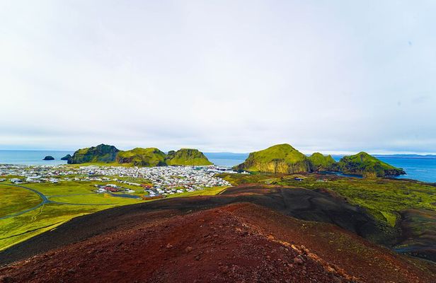 Vestmannaeyjar private day tour