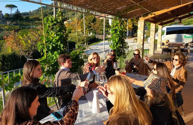 Private wine tour on the magical hills of Lucca (2 wineries)