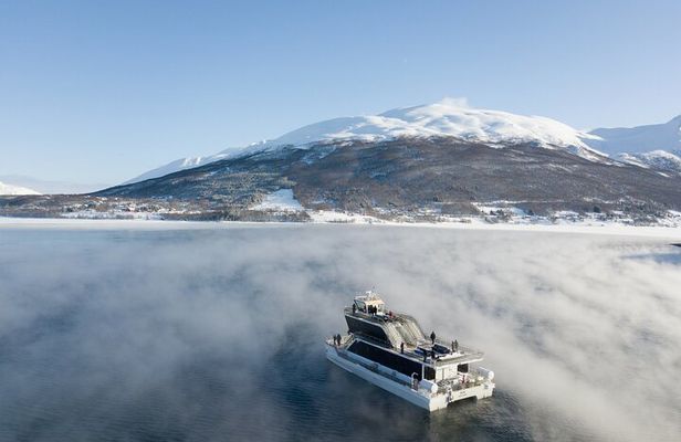 Half Day Arctic Fjord Cruise from Tromso