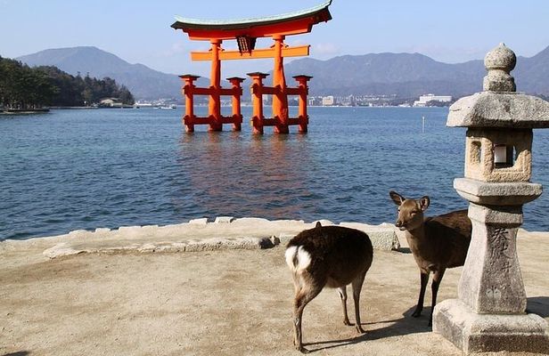Hiroshima and Miyajima 1 Day Private Tour from Kyoto or Osaka