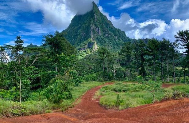 Half-Day Tour of Moorea Island in a Small Group