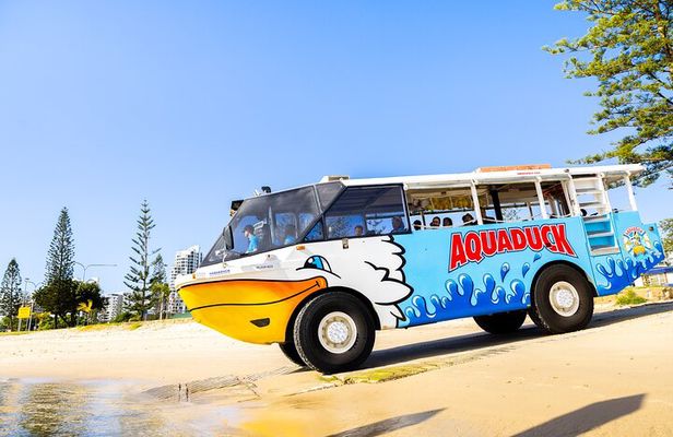 Aquaduck Gold Coast 1 hour City and River Tour