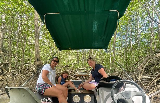 Mangrove Boat