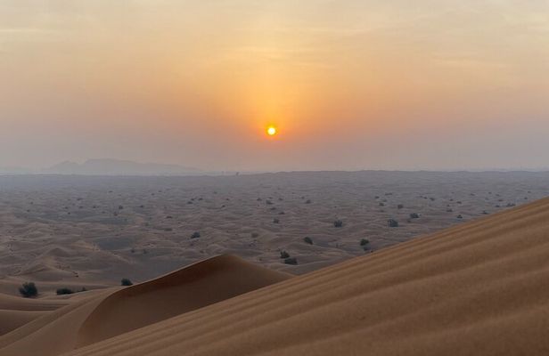 Desert Safari, Quad Biking (30 mins) & VIP BBQ Dinner Experience