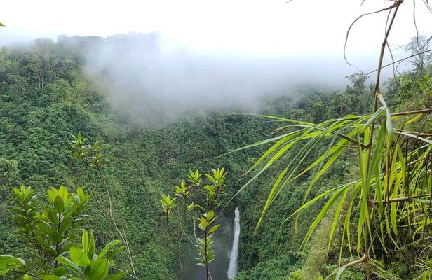 Full-Day Vara Blanca Hike Tour