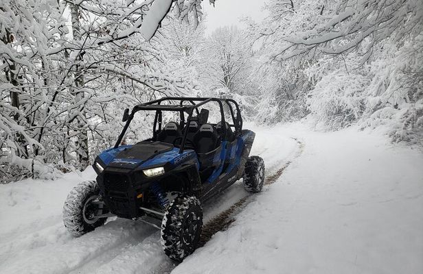 Private 1-Hour Quad or Buggy Safari in Borovets