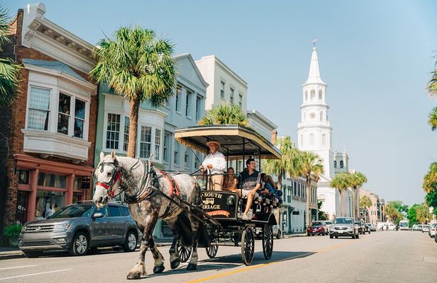 Charleston’s Old South Carriage Historic Horse & Carriage Tour