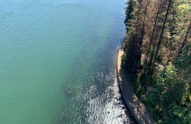 Half-day Hike and Bike Tour in Vancouver