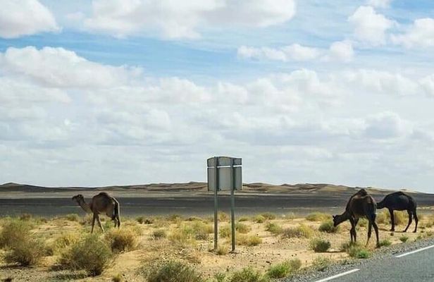 Morocco Tour 11 Days from Tangier