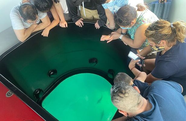 Long Beach Glass Bottom Boat Eco-Tour