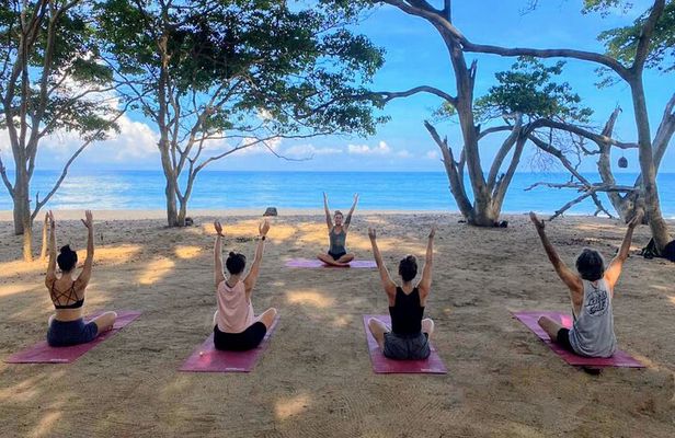 Hike and Yoga Jungle Experience