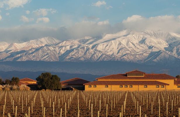 Wine Tour with Lunch and Transport in Mendoza