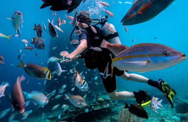 Discover Diving in Curaçao with Transportation Included