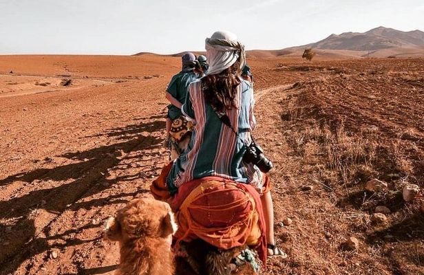 Agafay Desert-And Atlas Mountains & Camel-Trek-Day Trip From Marrakech