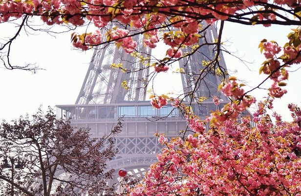 Private Photo Tour in Paris with a Professional Photographer