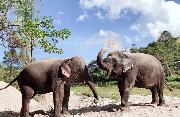 Inthanon Heaven Trail(Living Green Elephant Sanctuary)