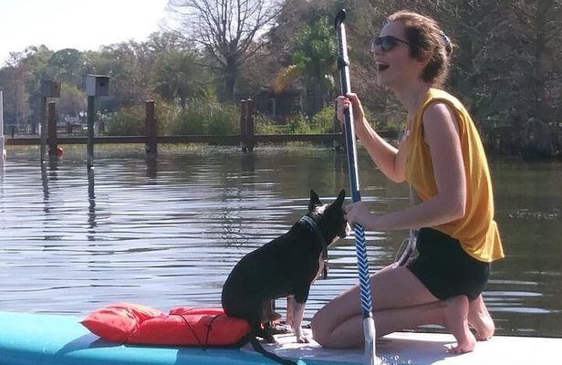 Paddle with Pups in Paradise - Paddleboard or Kayak