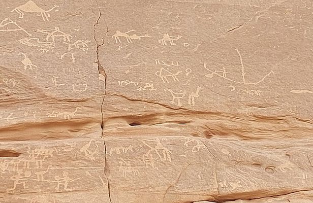 Private Full Day Sinai Desert Adventures