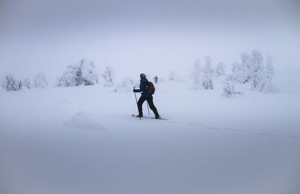 SNOWSHOEING The white walk