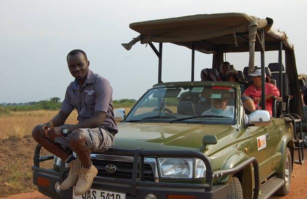 Queen Elizabeth Open Safari Jeeps for game drives.