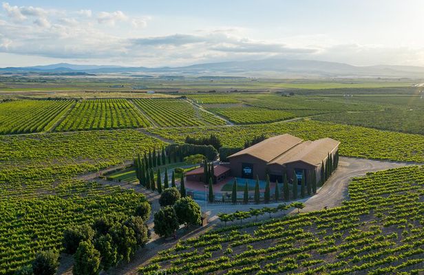 Discover La Rioja: Guided Winery Tour & Wine Tasting