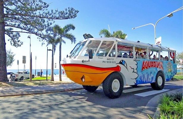 Aquaduck Sunshine Coast - 1hr Mooloolaba Amphibious Tour