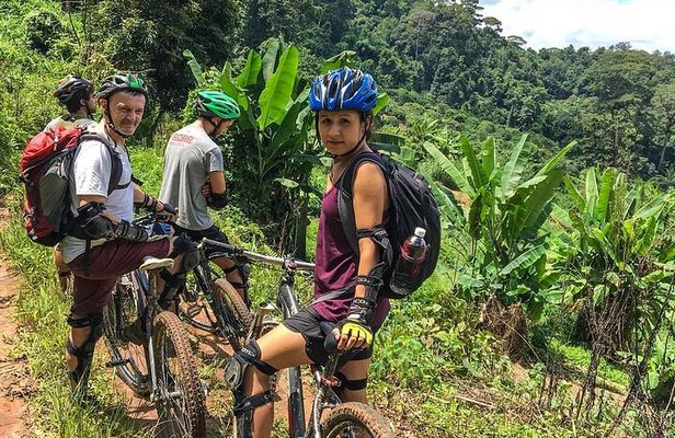 Doi Suthep National Park To Chiang Mai Beginner Downhill Mountain Biking