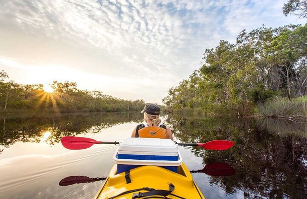 Full-Day Guided Noosa Everglades Kayak Tour
