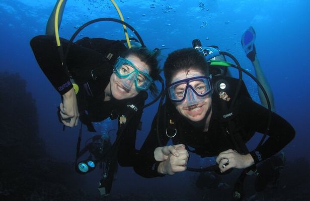 Intro/Refresher Dive Swim Ability Required