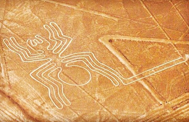 Private Tour to the Astonished Nazca Lines and Huacachina Oasis