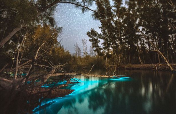 Bioluminescent Clear Kayak Tours in Titusville