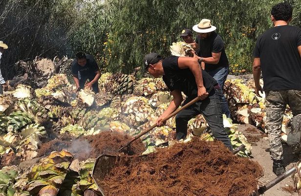 Mezcal Tour Oaxaca