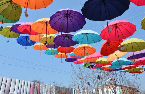 Nami Island Trip with Petite France & Italian Village and Gangchon Rail Bike