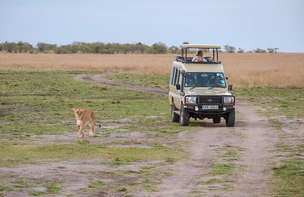 4 days Tanzania Wildlife, Materuni Waterfalls and Chemka Hot-spring &Coffee Tour