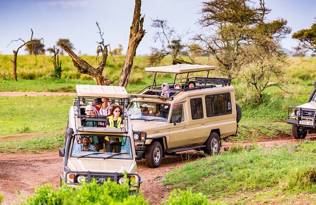 5 Days Private Safari Tour & Maasai village Visit Tanzania