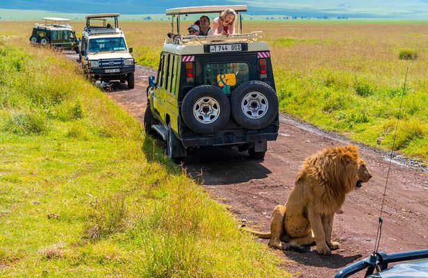 3 days Luxury Safari Tour in Tanzania