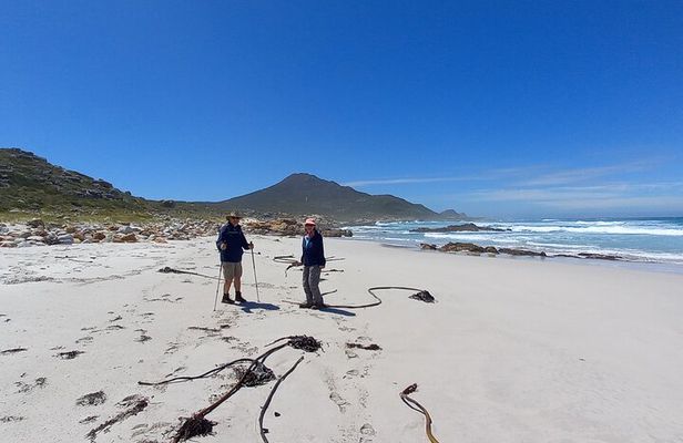 Hiking Cape of Good hope, Cape Point & Penguins Private Full Day