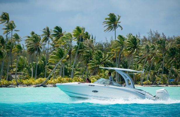 Reef Discovery Private Half Day Lagoon Tour
