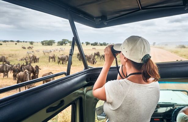 4 Days Private Lodge Safari Tour Tanzania
