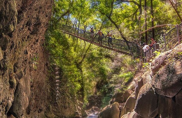 Rincon de la vieja Volcano Hike, Oropendola Waterfall, Hot Springs & Lunch Combo