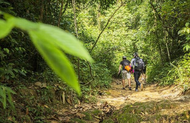 Phuket Jungle Trekking Experience at Khao Phra Taew National Park