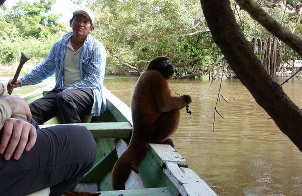 Amazon 4-Day Private Tour from Iquitos – Run by a Local Community