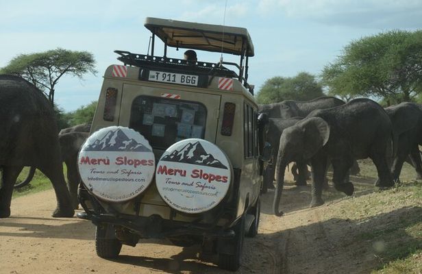 Tarangire National Park Private Day Tour