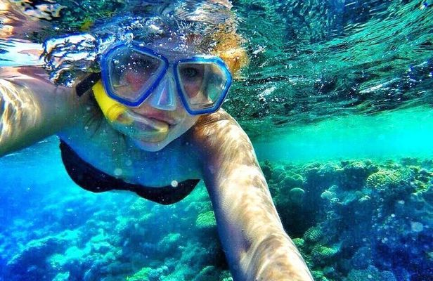 Gulf of Aqaba Snorkeling Tours