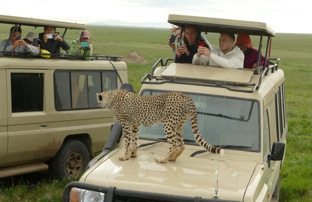 Private 4 Days Safari in Tarangire, Serengeti and Ngorongoro
