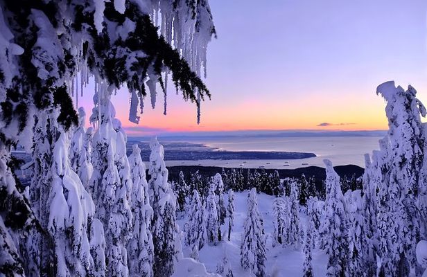Snowshoeing In Vancouver's Winter Wonderland