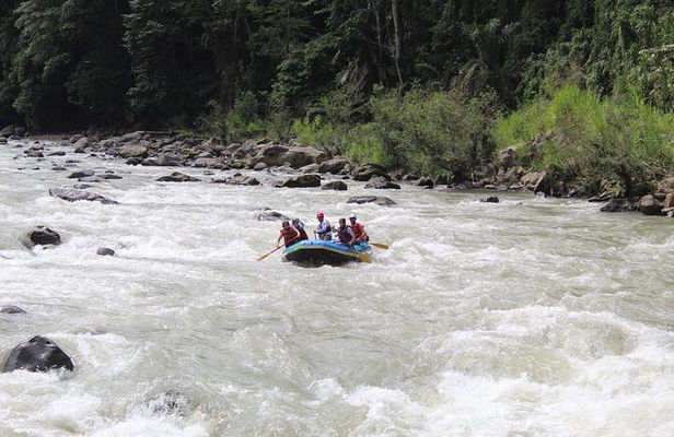1 Day Rafting Pacuare River