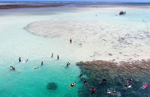 Kaneohe Sandbar Snorkeling Tour - 2nd Tour