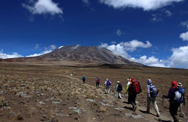 5 Days Marangu Route Kilimanjaro Climbing